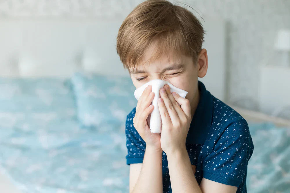 7 of the Best Remedies for Seasonal Allergies