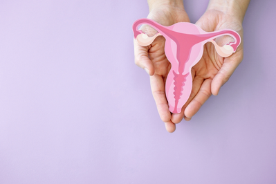 women's hands holding a diagram of a uterus