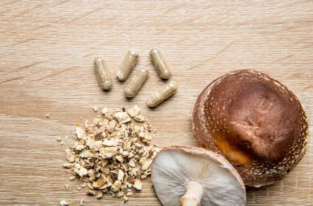 Best Mushroom Supplements: Top Picks for Energy, Immunity, Focus, and Longevity