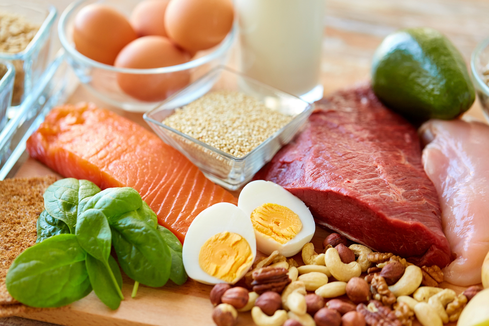 foods high in protein