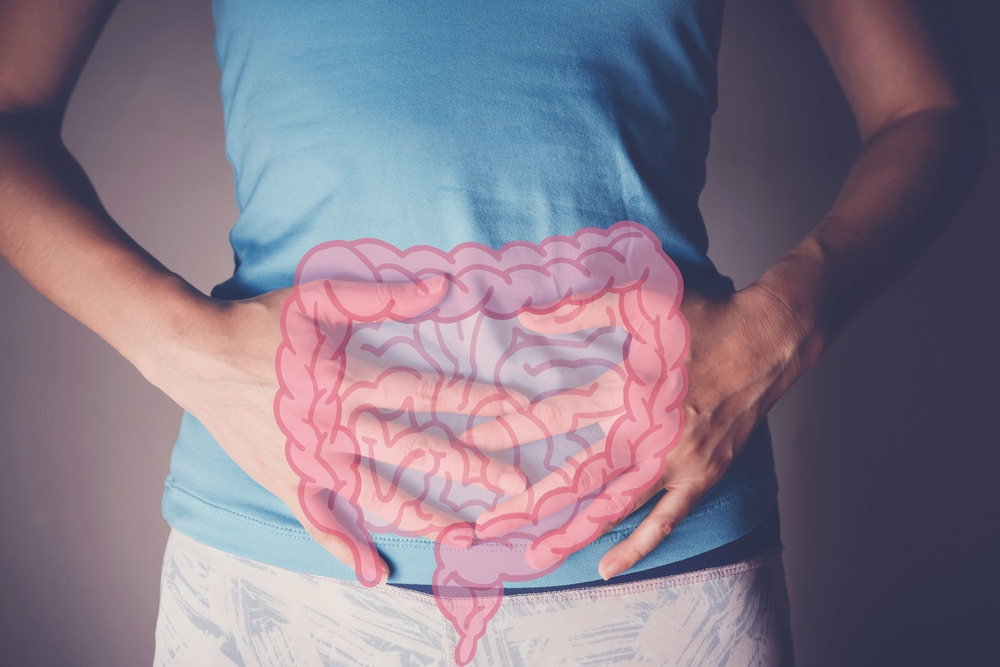 diagram of intestines over hands holding stomach